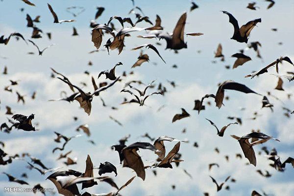 معروفترین دروغهایی که فکر میکنیم حقیقت دارد! معروفترین دروغهایی که فکر میکنیم حقیقت دارد!