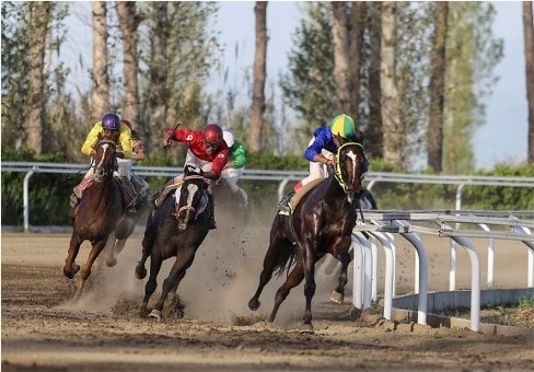 کورس پائیزه سوارکاری کشور در ایستگاه بیستم