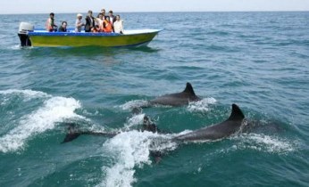 گزارش مکتوب؛ هرمزگان قطب گردشگری در فصل سردسال