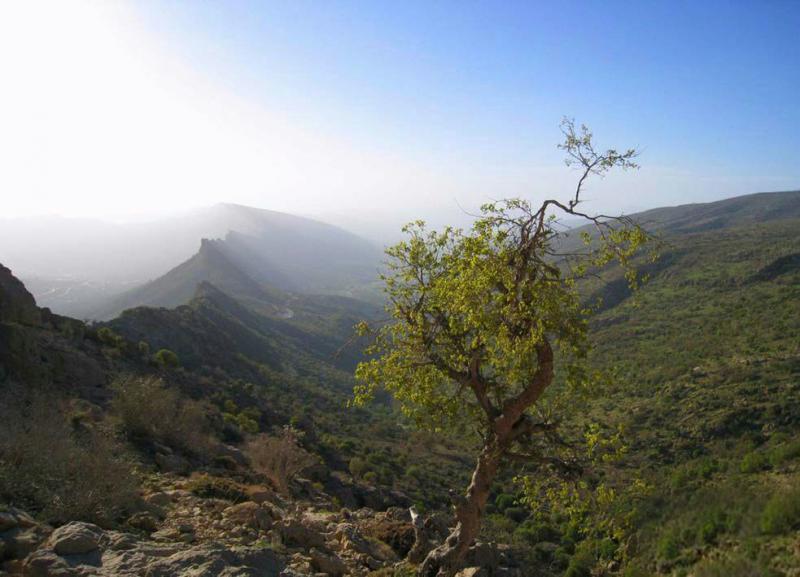 معرفی طبیعت و جاذبه های گردشگری ایوان+فیلم