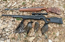 شکارچیان غیرمجاز در دام قانون شکارچیان غیرمجاز در دام قانون