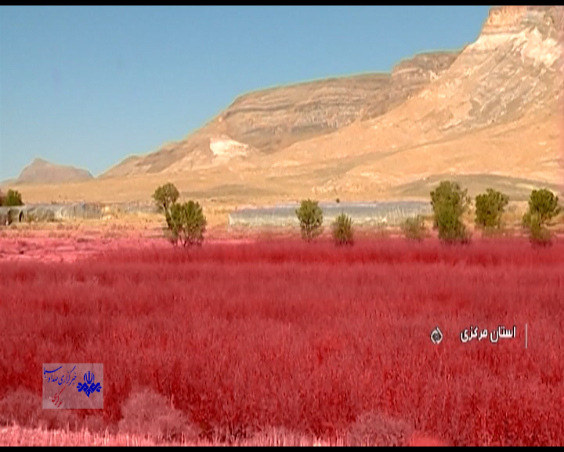 اسکناس هایی از دل آتش