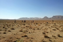 بادامکاری 5 هکتار درطرح بین المللی ترسیب کربن محلات