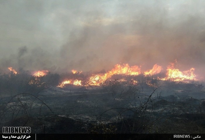 خسارت آتش به330 هکتار از عرصه گیاهی جزیره آشوراده و شبه جزیره میانکاله خسارت آتش به330 هکتار از عرصه گیاهی جزیره آشوراده و شبه جزیره میانکاله