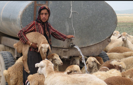 آبرسانی به دام‌های 20 شهرستان خوزستان با تانکر