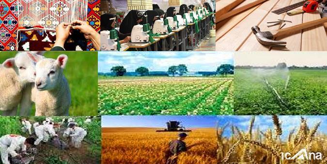 ابهام در دروند حمایت از ایجاد اشتغال در مناطق روستایی