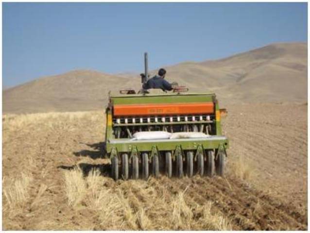 آغاز کشت گندم در بوئین زهرا