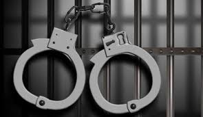 متلاشی سازی باند حرفهای معروف به شاه ماهی در سبزوار متلاشی سازی باند حرفهای معروف به شاه ماهی در سبزوار