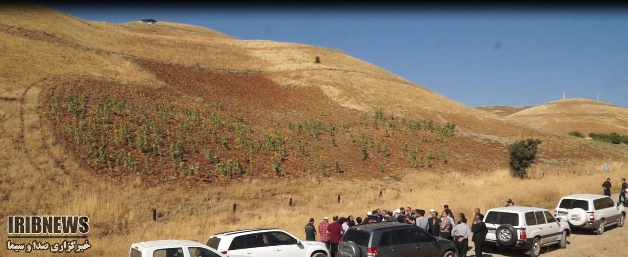 بازدید استاندار کردستان از جاده جدید مریوان و طرح توسعه‌ی باغات