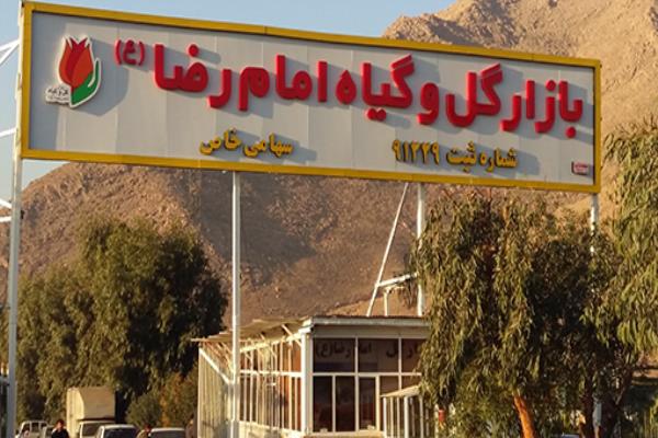 آفت دلال بر جان صنعت گل شاخه بریده کشور