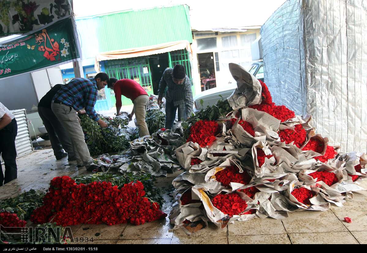 آفت دلال بر جان صنعت گل شاخه بریده کشور