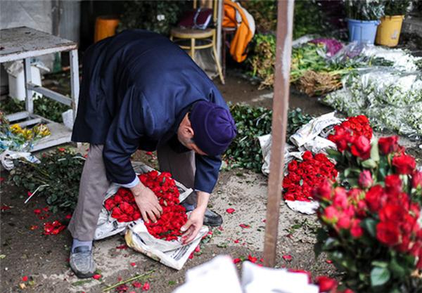 آفت دلال بر جان صنعت گل شاخه بریده کشور