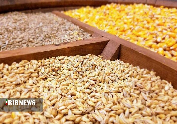 توزیع بیش از 70 هزار تن نهاده دام توزیع بیش از 70 هزار تن نهاده دام