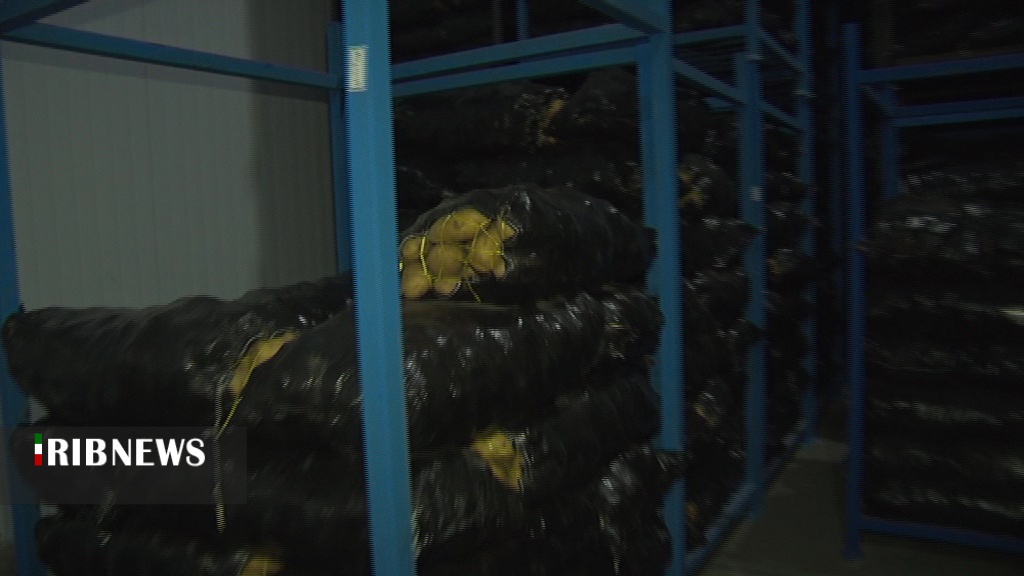 نگهداری صحیح محصولات کشاورزی به تنظیم بازار کمک می‌کند