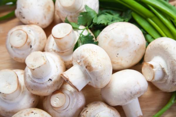 نکاتی برای نگهداری قارچها به مدت طولانی نکاتی برای نگهداری قارچها به مدت طولانی