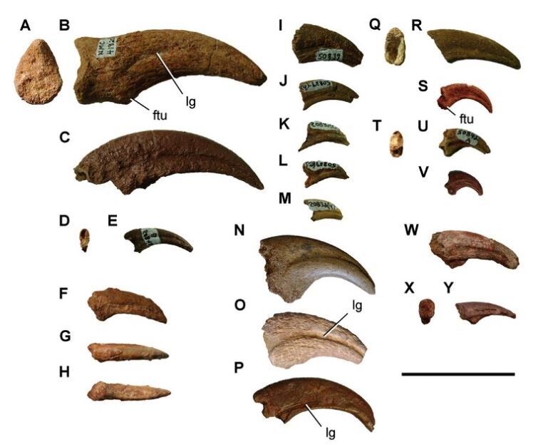مرگبارترین مکان تاریخی کره زمین + تصاویر