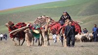 ورود عشایر به استان همدان سامان دهی می شود