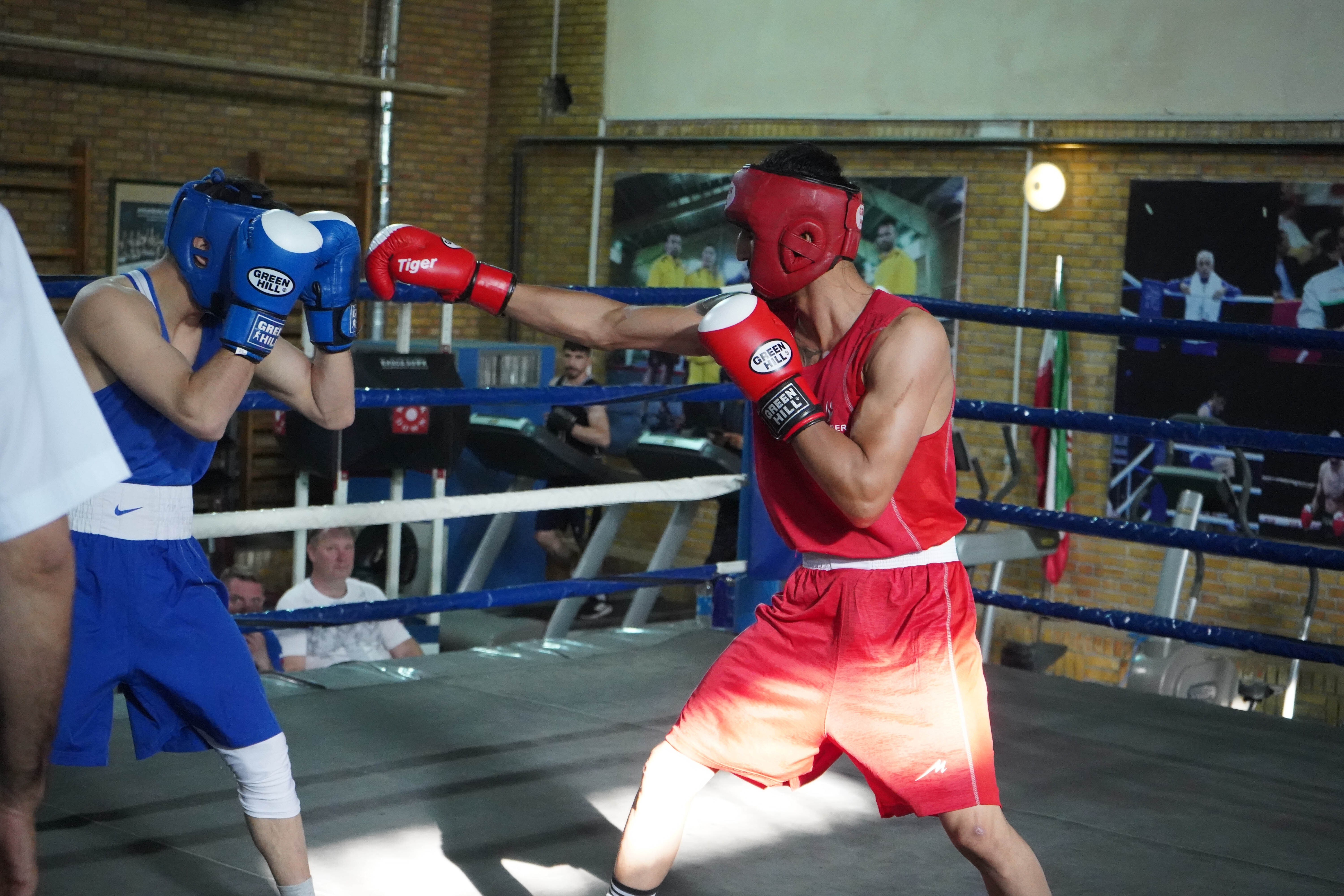 اعلام تاریخ برگزاری دیدار‌های لیگ برتر بوکس؛ اعزام قهرمان به مسابقات بین‌المللی