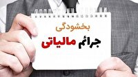 بخشودگی جرائم مالیاتی تا ۲۹ بهمن