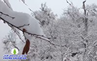 تداوم بارندگی تا دوشنبه در گلستان؛ ریزش برف در برخی از مناطق شهری از امشب