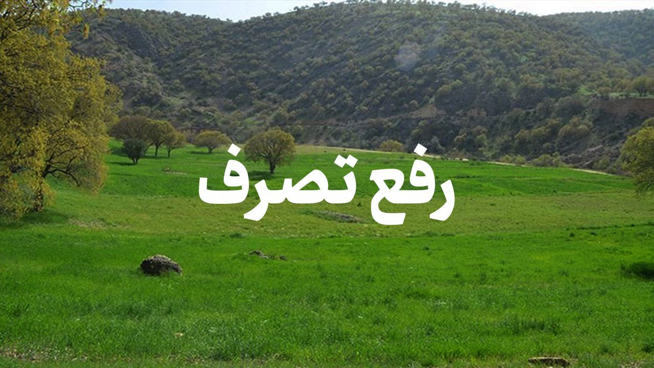 رفع تصرف زمین‌های ملی میلیاردی در لنگرود