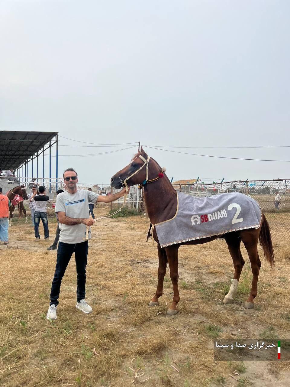 درخشش اسبهای خراسان شمالی در کورس ترکمن بندر ترکمن درخشش اسبهای خراسان شمالی در کورس ترکمن بندر ترکمن