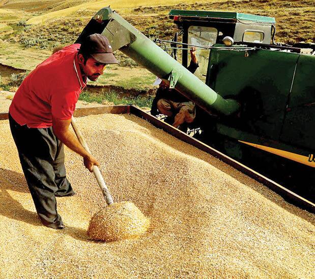 پرداخت دو هزار میلیارد ریال بهای خرید تضمینی گندم به حساب کشاورزان کردستانی پرداخت دو هزار میلیارد ریال بهای خرید تضمینی گندم به حساب کشاورزان کردستانی