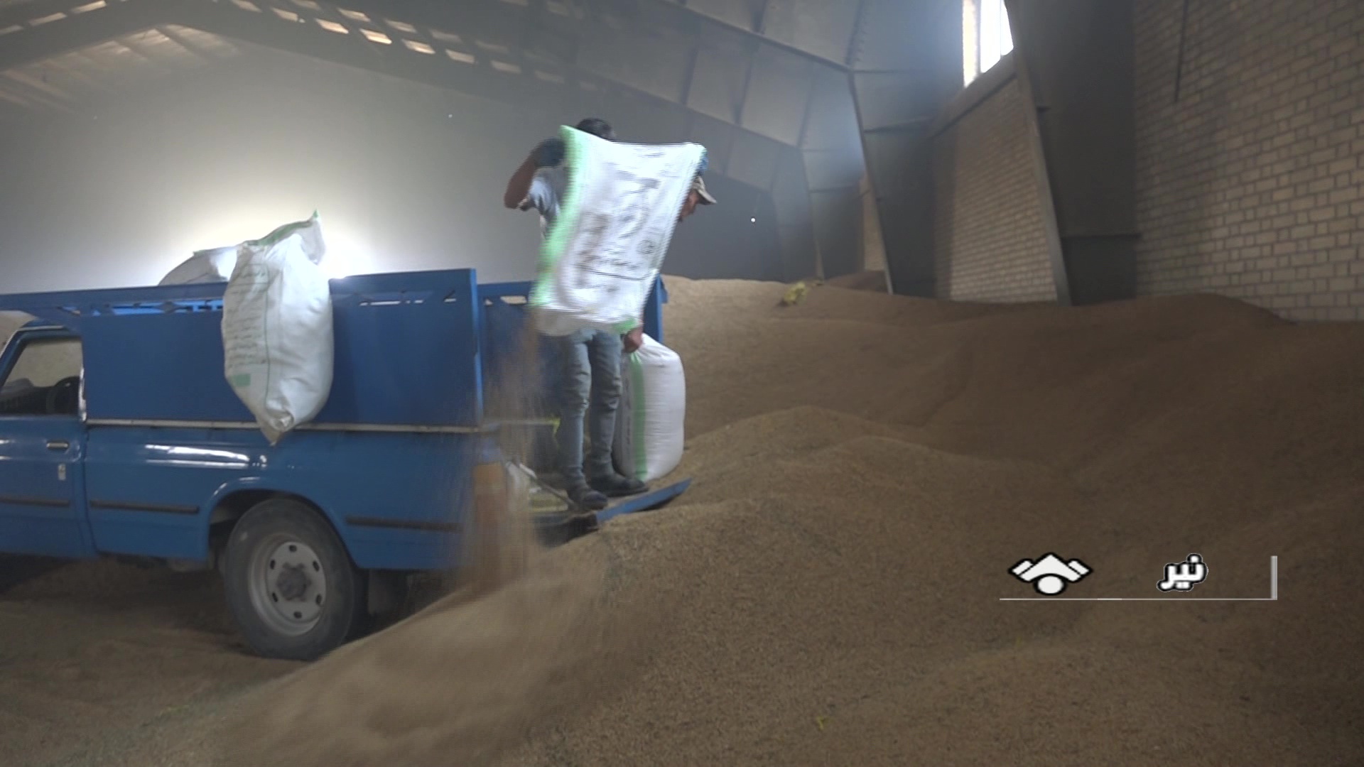 خریداری بیش از ۳۶۵ هزار تن گندم در اردبیل خریداری بیش از ۳۶۵ هزار تن گندم در اردبیل