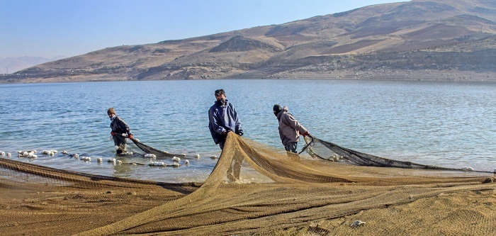 آغاز صید ماهی در دریاچه سد مهاباد