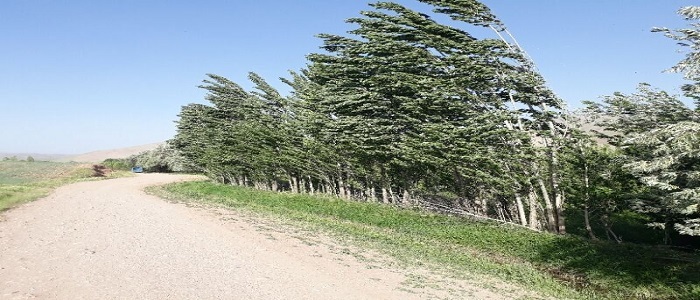 سرعت وزش باد در همدان به ۷۰ کیلومتر بر ساعت رسید