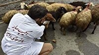 فعالیت ۳۳ تیم دامپزشکی ، تاسوعا و عاشورا در لرستان