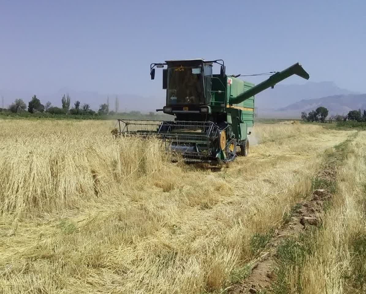 آغاز برداشت مکانیزه گندم و جو از مزارع دهستان ارنان