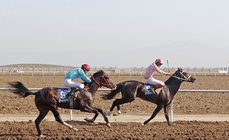 درخشش اسب‌های خراسان شمالی در بندرترکمن