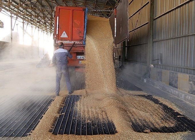 مطالبات گندمکاران را جهادی پرداخت کنید