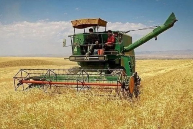 احتمال قاچاق گندم به دلیل تعیین نشدن نرخ خرید تضمینی