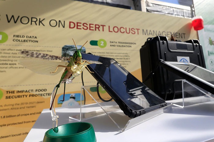 آشپزی به مناسبت روز جهانی غذا آشپزی به مناسبت روز جهانی غذا