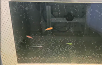 نصب دستگاه تشخیص آلاینده‌ آب، در تصفیه خانه مراغه