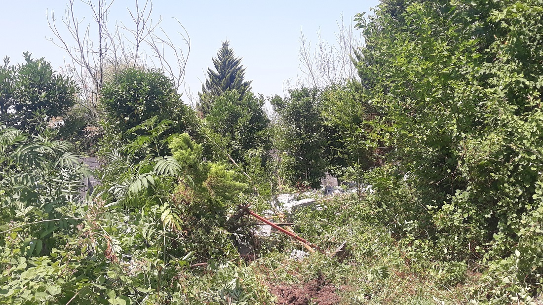 رفع تصرف ۳ هکتار از زهکش محسن آباد بخش کیاشهر