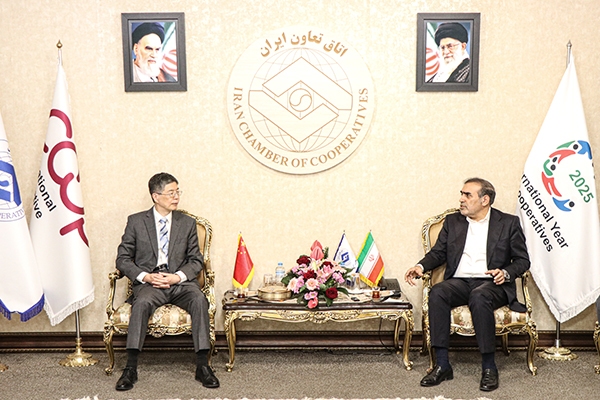 ایران و چین بهدنبال تقویت روابط اقتصادی از مسیر تعاون و سرمایهگذاری مشترک ایران و چین بهدنبال تقویت روابط اقتصادی از مسیر تعاون و سرمایهگذاری مشترک