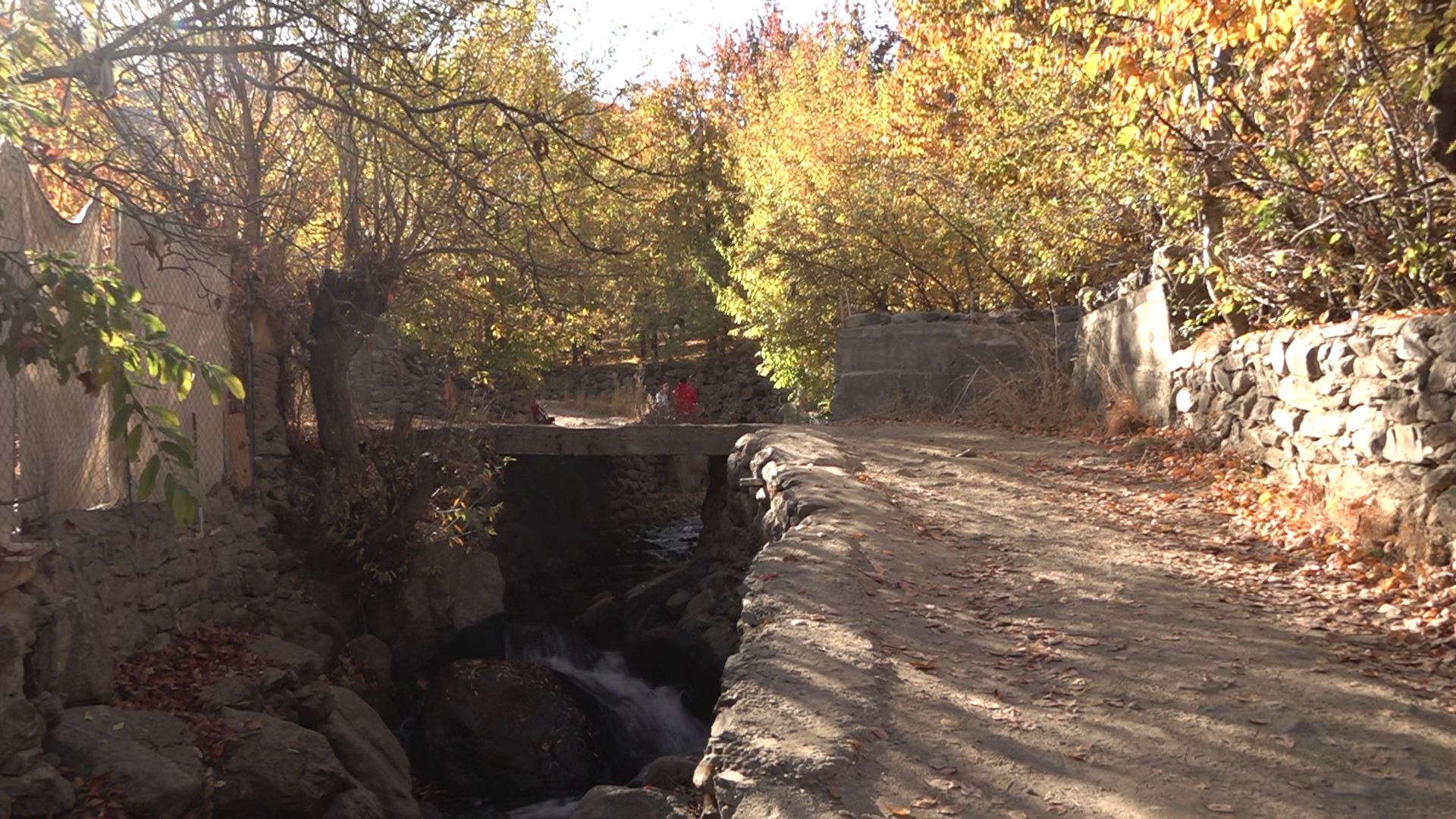 غوغای شگفت‌ انگیز جشن رنگارنگ برگ‌ ریزان در سیلوار همدان