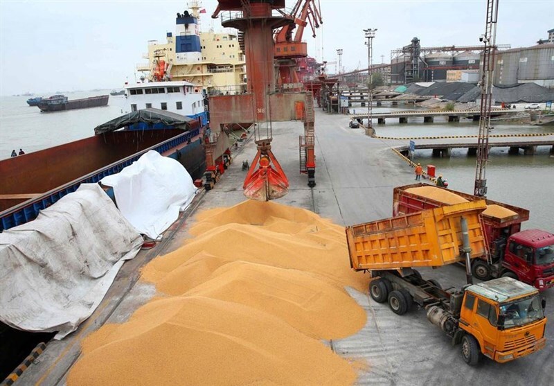 نوسانات واردات کالاهای اساسی و نهادههای دامی در ۳ سال اخیر نوسانات واردات کالاهای اساسی و نهادههای دامی در ۳ سال اخیر