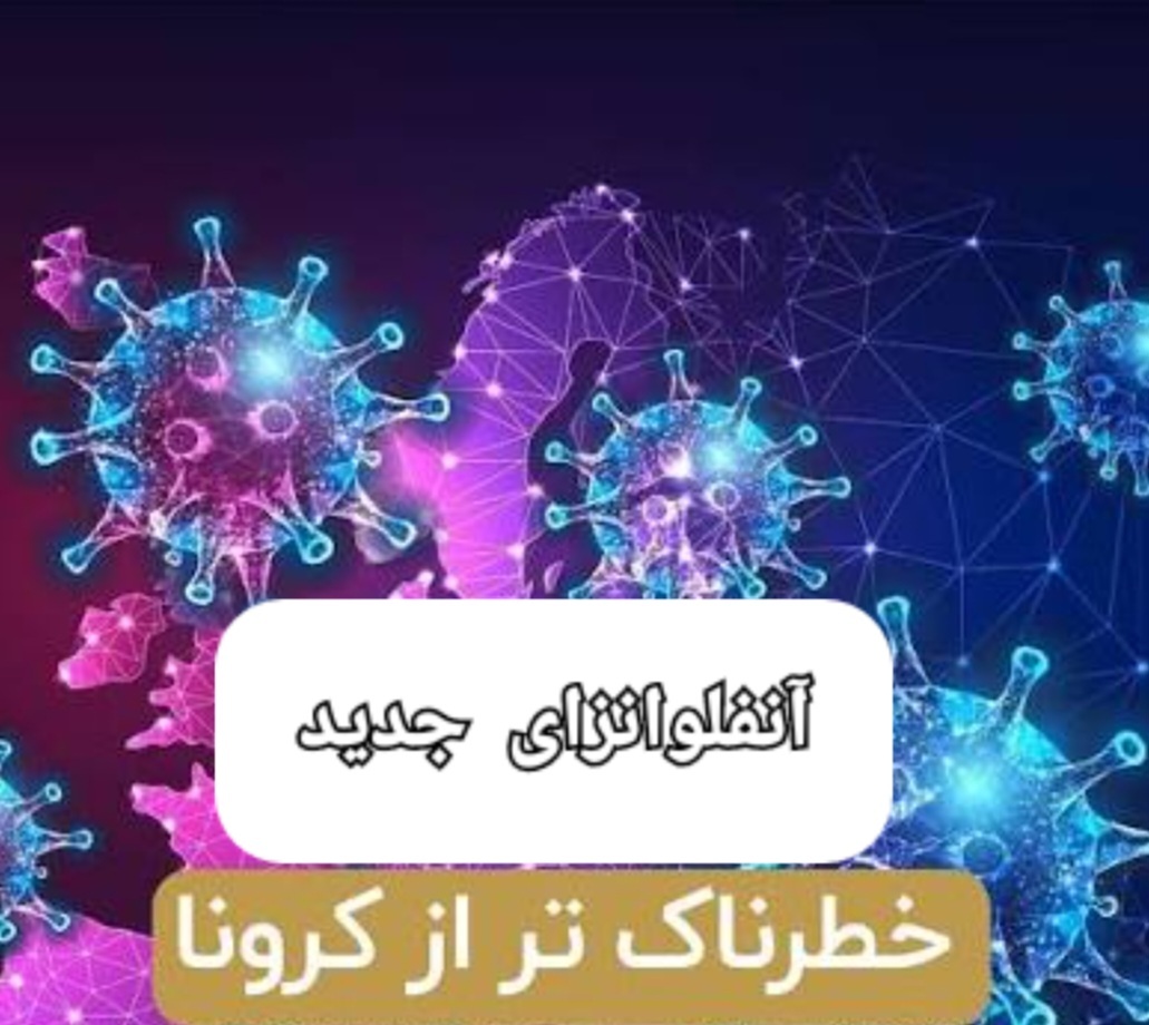 نفس ۱۹۸ ایلامی به شماره افتاد